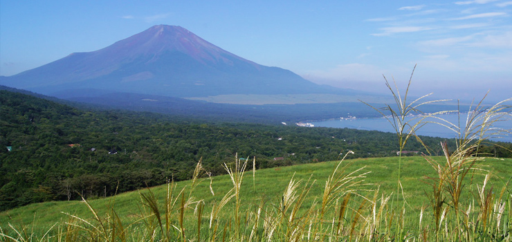 富士山麓山中湖の大自然