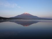 6月3日 朝から綺麗な朝陽、富士山見れました