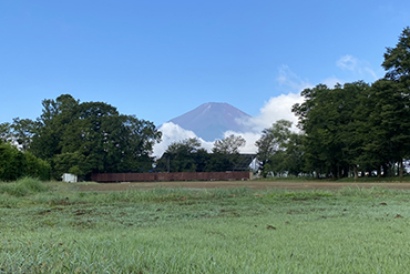 キャンプ場