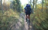 MTB