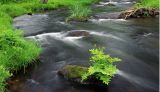 水のワークショップ