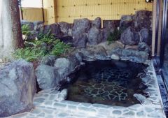 平日限定！研修プラン / 